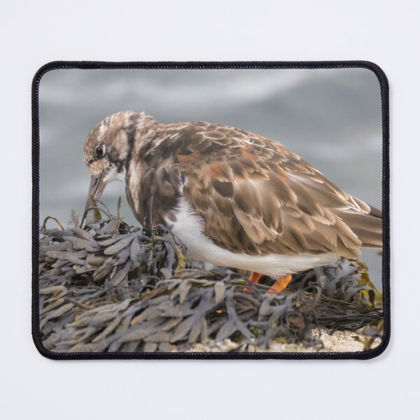 Item preview, Ruddy Turnstone designed and sold by LaurenTucker.