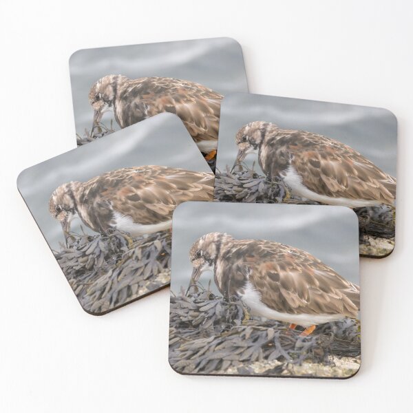 Item preview, Ruddy Turnstone designed and sold by LaurenTucker.