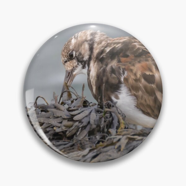 Item preview, Ruddy Turnstone designed and sold by LaurenTucker.