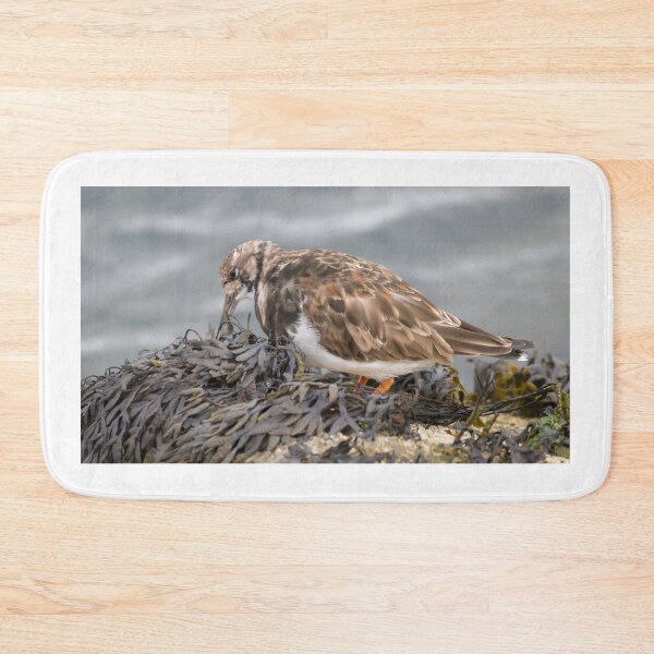 Item preview, Ruddy Turnstone designed and sold by LaurenTucker.