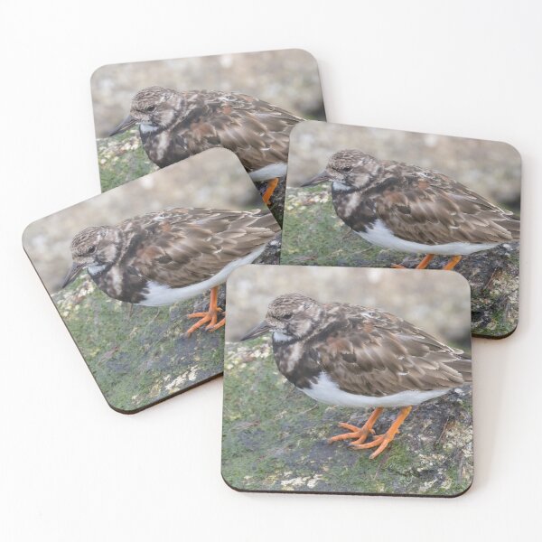 Item preview, Ruddy Turnstone designed and sold by LaurenTucker.
