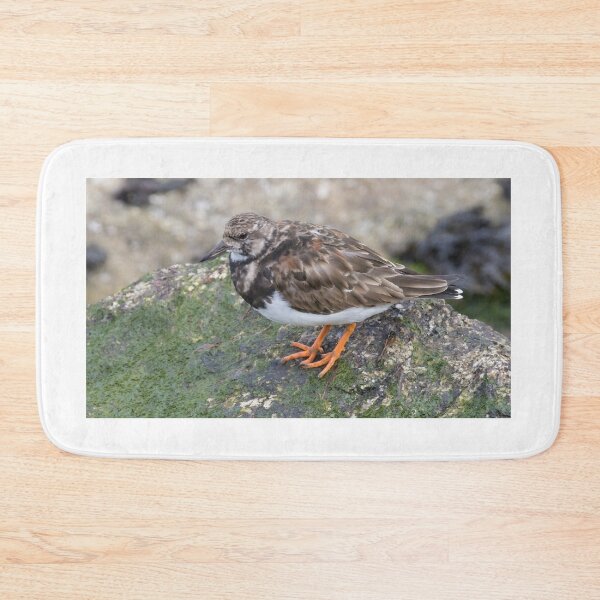 Item preview, Ruddy Turnstone designed and sold by LaurenTucker.