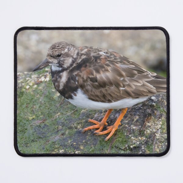 Item preview, Ruddy Turnstone designed and sold by LaurenTucker.