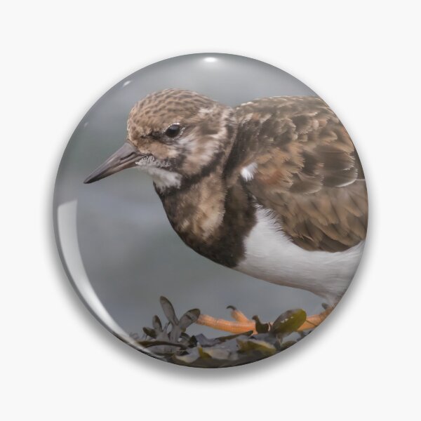 Item preview, Ruddy Turnstone designed and sold by LaurenTucker.