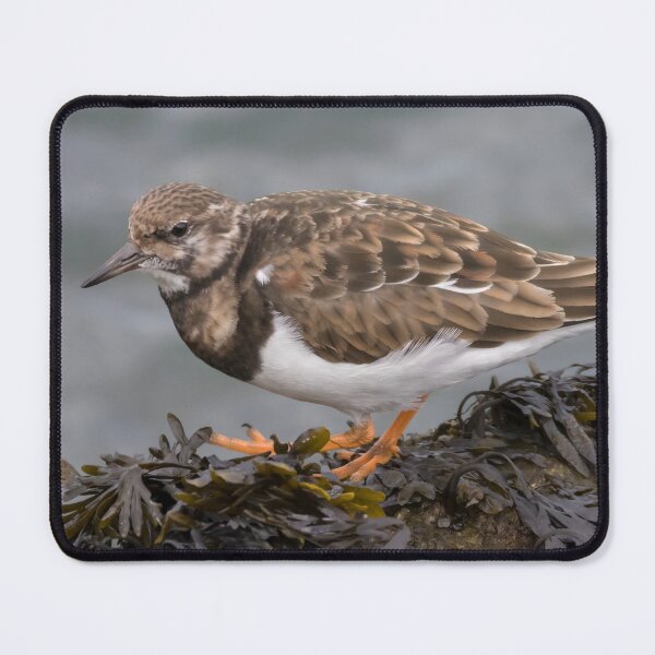 Item preview, Ruddy Turnstone designed and sold by LaurenTucker.