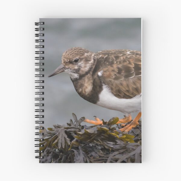 Item preview, Ruddy Turnstone designed and sold by LaurenTucker.