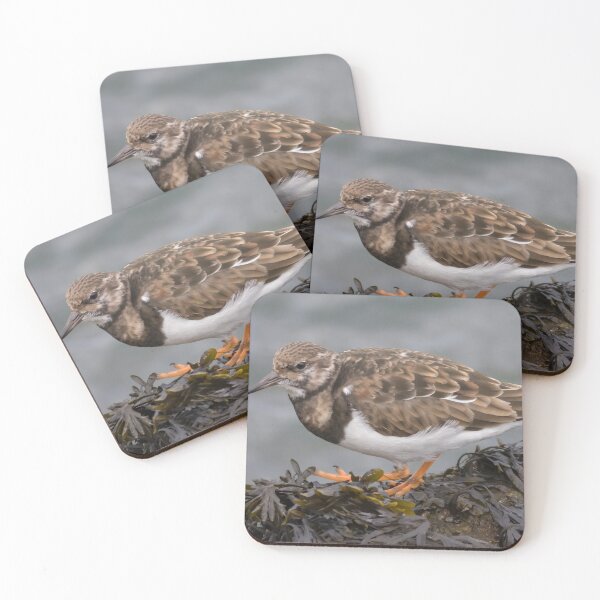 Item preview, Ruddy Turnstone designed and sold by LaurenTucker.