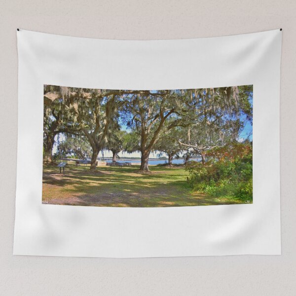 Item preview, The Oaks At Fort Prince Frederick Port Royal South Carolina  designed and sold by LisaWootenPhoto.