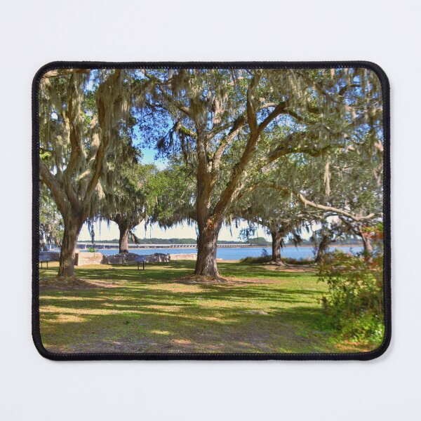 Item preview, The Oaks At Fort Prince Frederick Port Royal South Carolina designed and sold by LisaWootenPhoto.