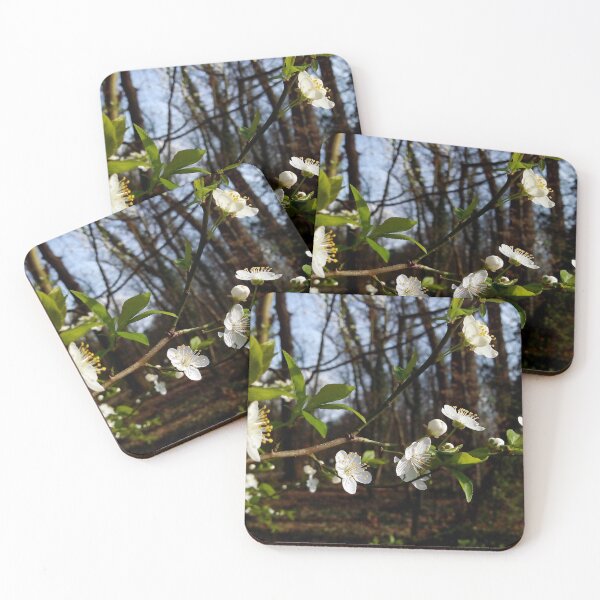 Item preview, European plum with white blossoms 3 original artwork designed and sold by paragonDesign28.