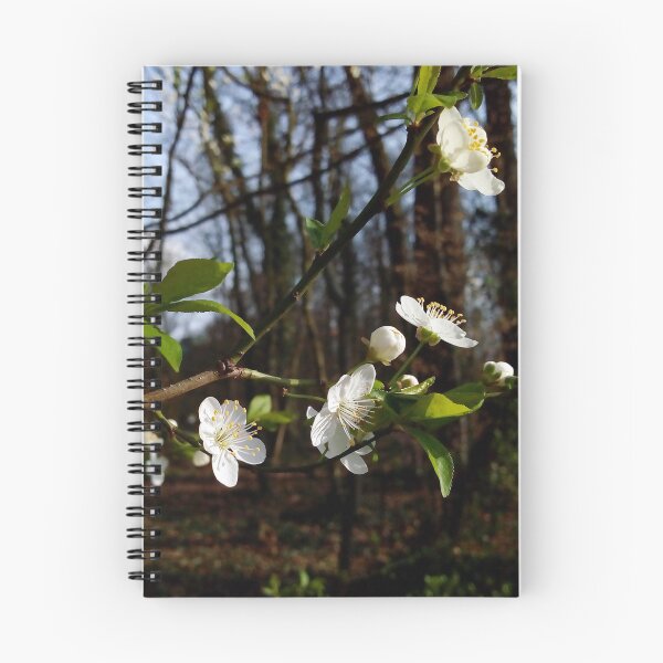 Item preview, European plum with white blossoms 3 original artwork designed and sold by paragonDesign28.