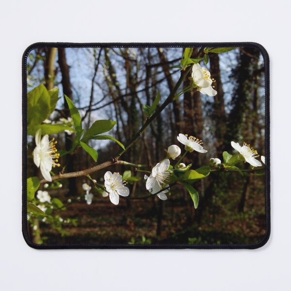 Item preview, European plum with white blossoms 3 original artwork designed and sold by paragonDesign28.
