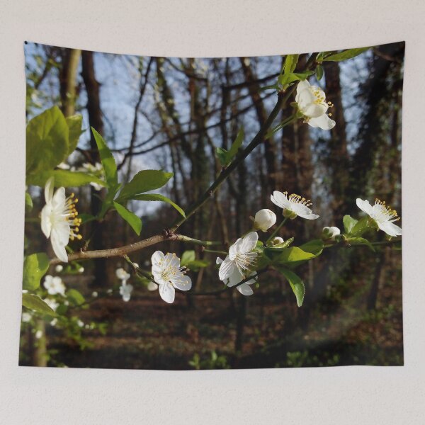 Item preview, European plum with white blossoms 3 original artwork designed and sold by paragonDesign28.