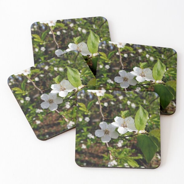 Item preview, European plum with white blossoms 4 original artwork designed and sold by paragonDesign28.