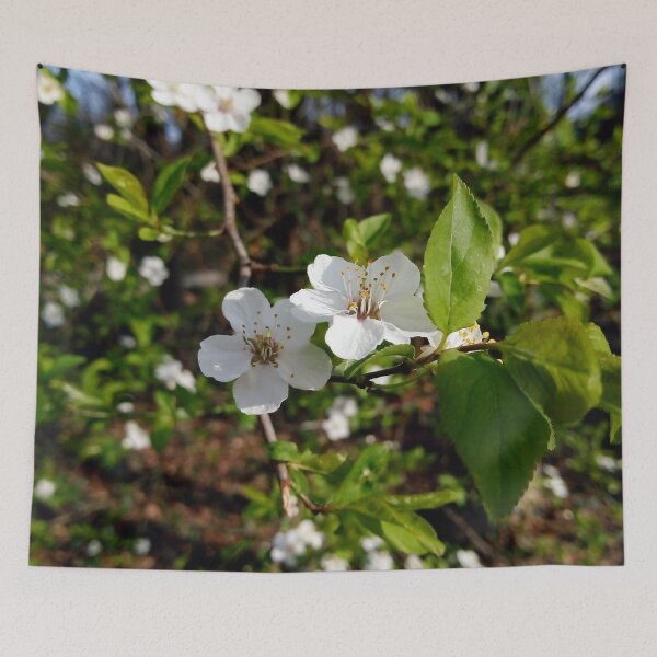 Item preview, European plum with white blossoms 4 original artwork designed and sold by paragonDesign28.