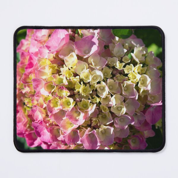 Item preview, Hortensia designed and sold by Kezzles.
