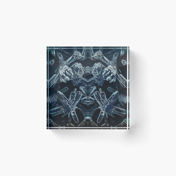 Item preview, Wicked face of a bug, mountain frost designed and sold by DreamingBeetle.
