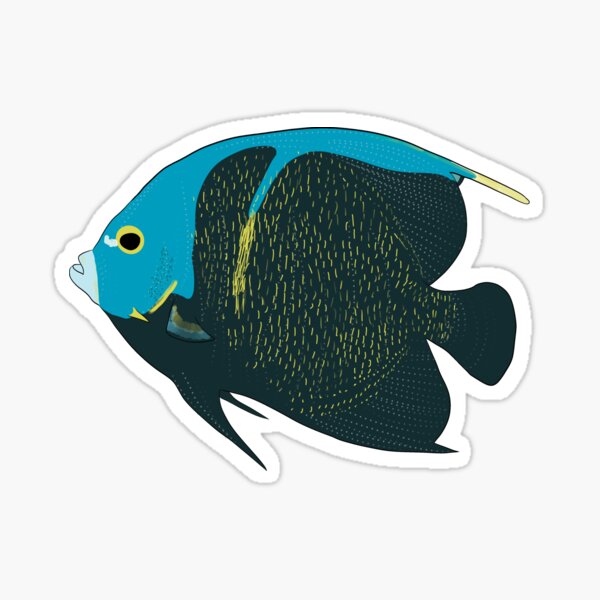 Angelfish Decal Sticker  Freshwater Aquarium Fish Stickers