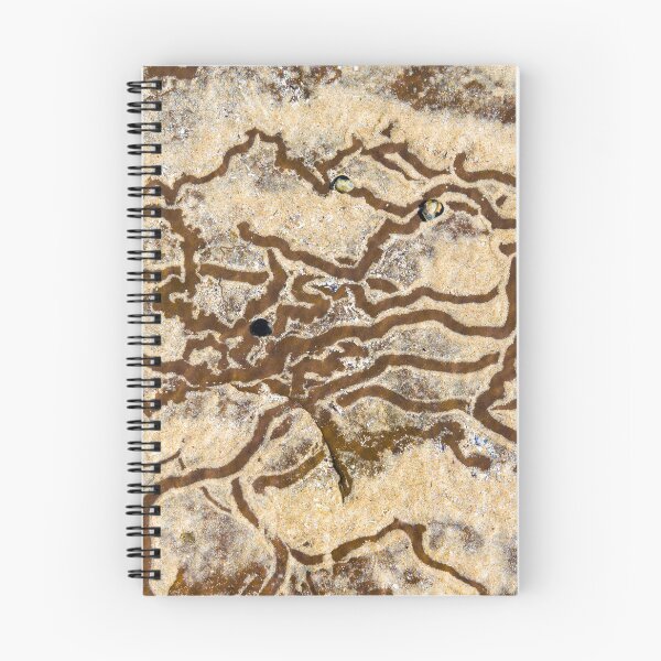 Item preview, Nature abstract background with sea snail line trails in the water sand. Top view. designed and sold by Stanciuc.