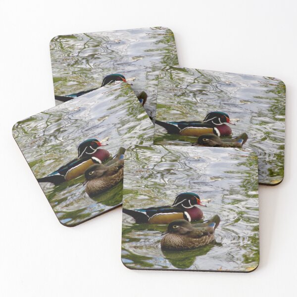 Item preview, Male and female mandarine ducks at Mud Lake, Ontario designed and sold by Shulie1.