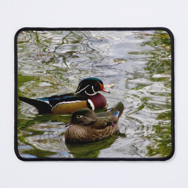 Item preview, Male and female mandarine ducks at Mud Lake, Ontario designed and sold by Shulie1.