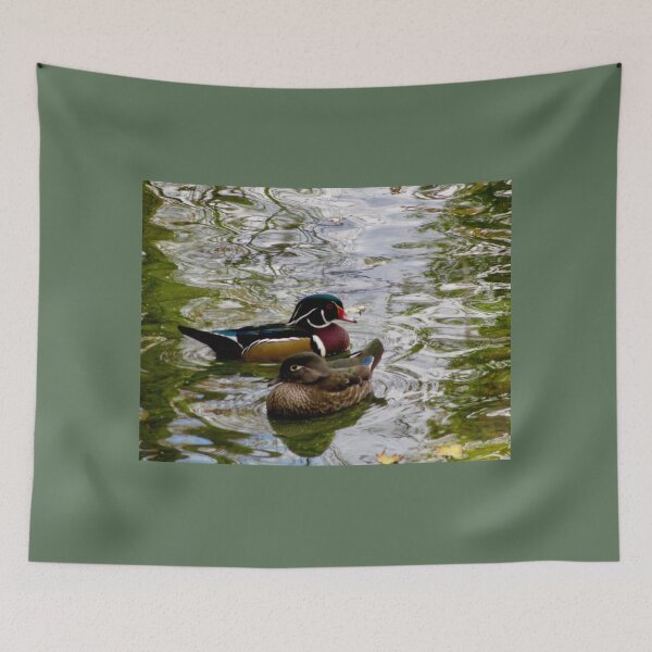 Item preview, Male and female mandarine ducks at Mud Lake, Ontario designed and sold by Shulie1.