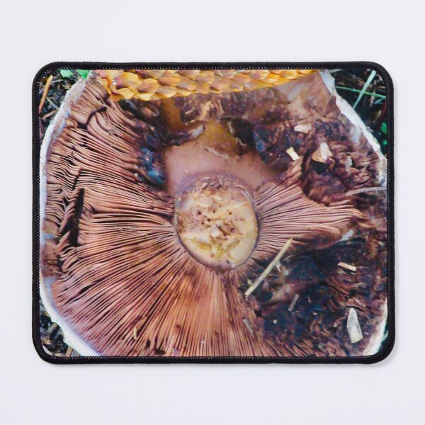 Item preview, Fallen Mushroom designed and sold by Shulie1.