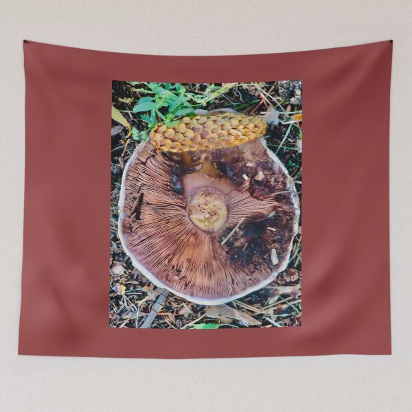 Item preview, Fallen Mushroom designed and sold by Shulie1.