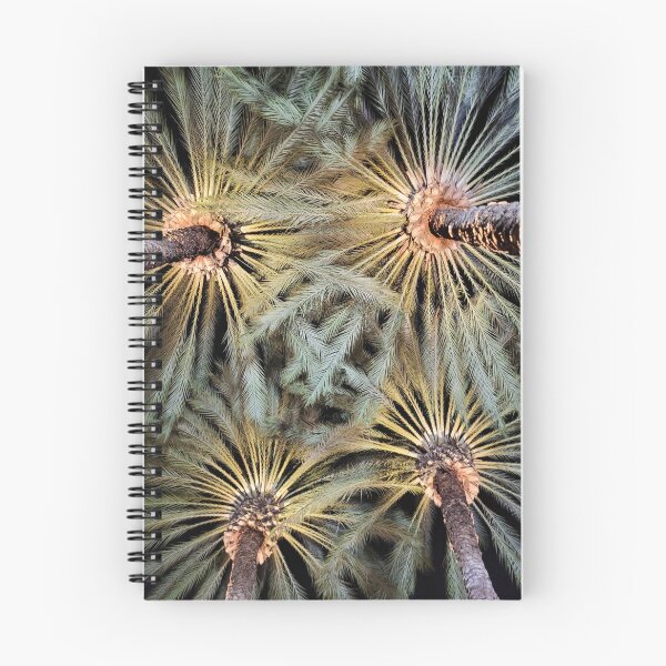 Item preview, Palms designed and sold by Denis Charbonnier.