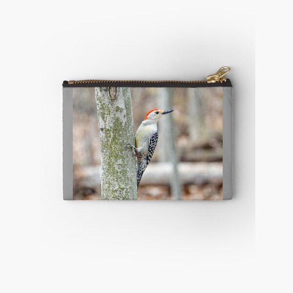 Item preview, "Red-Bellied Woodpecker designed and sold by Creatively Colette’s .