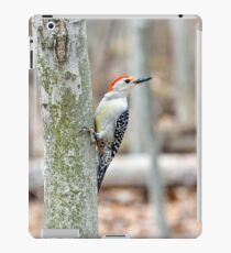 "Red-Bellied Woodpecker iPad Case/Skin