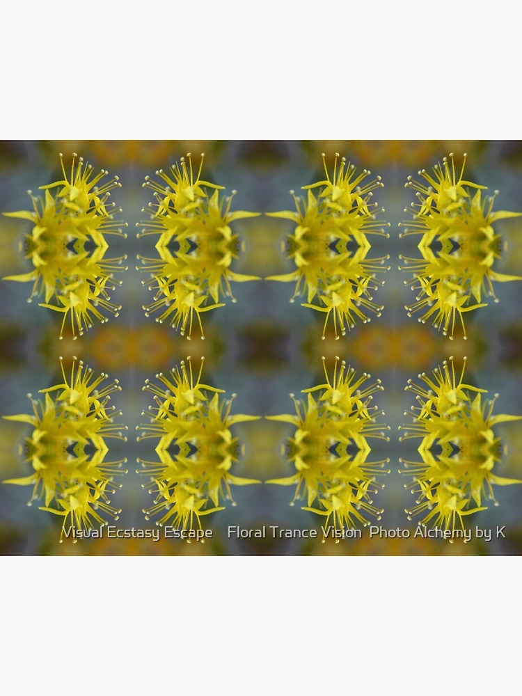 Thumbnail 3 of 3, Poster, Yellow Stone Roses designed and sold by Visual Ecstasy Escape Floral Trance Vision Photo Alchemy by K .