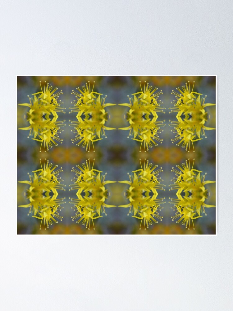 Thumbnail 1 of 3, Poster, Yellow Stone Roses designed and sold by KlaudiaJA.