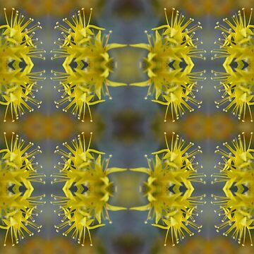 Artwork thumbnail, Yellow Stone Roses  by Visual Ecstasy Escape  Floral Trance Vision Photo Alchemy by K 