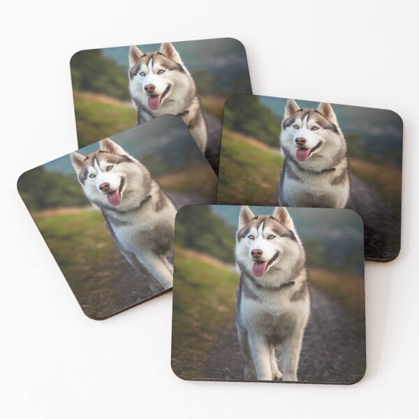 Item preview, Siberian Husky designed and sold by Tom McPherson Photography.