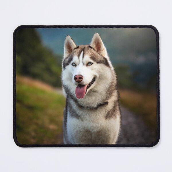 Item preview, Siberian Husky designed and sold by Tom McPherson Photography.