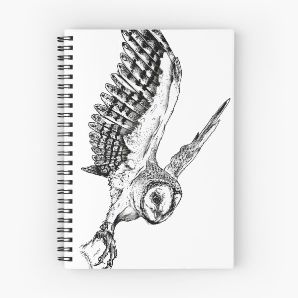 Item preview, Johto the Ashy faced owl sketch  designed and sold by AderynValentine.
