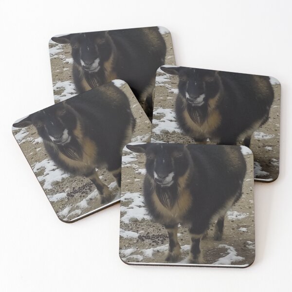 Item preview, Tired Sleepy Nigerian Dwarf Goat 'Pip' Coffee designed and sold by Abby Art Studio.
