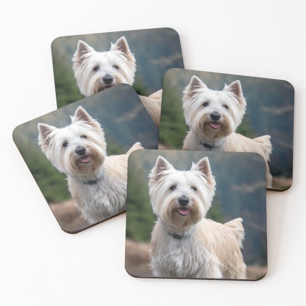 Item preview, West Highland White Terrier designed and sold by Tom McPherson Photography.