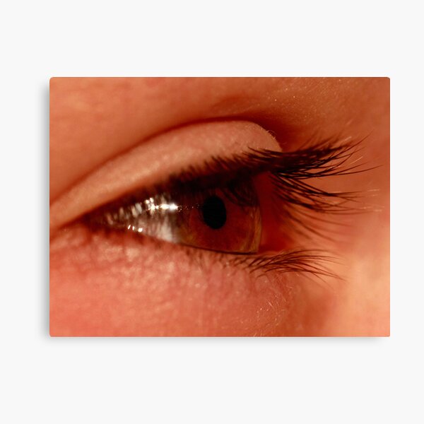 Eye Spy Canvas Print