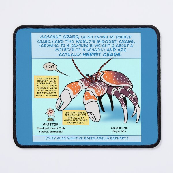 Item preview, Coconut Crab Facts designed and sold by Copperbora.