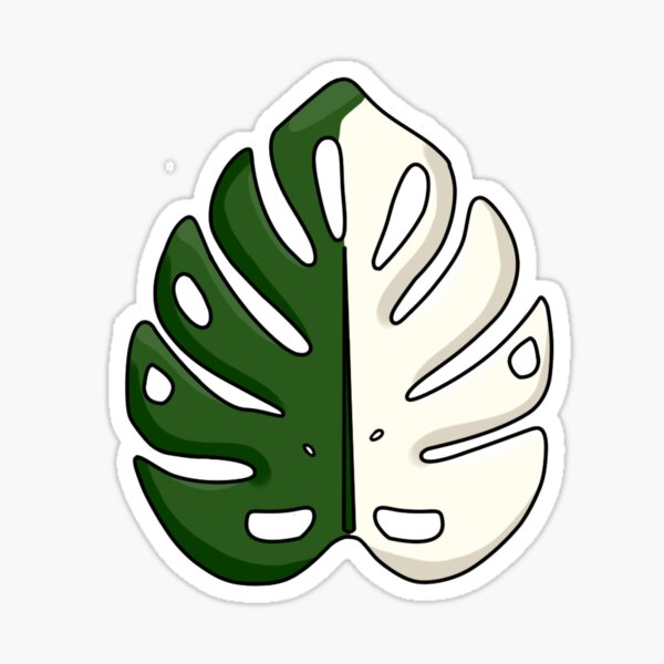 Vista previa del artículo con la obra «Monstera Albo», diseñado y vendido por KasheenaTTV.