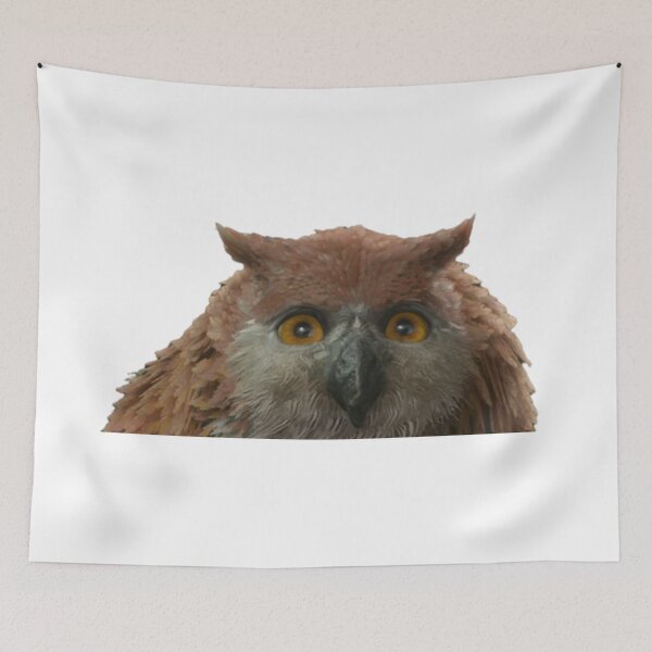 Item preview, Owl Bear Cub Peeker BG3 designed and sold by cgbyrd.