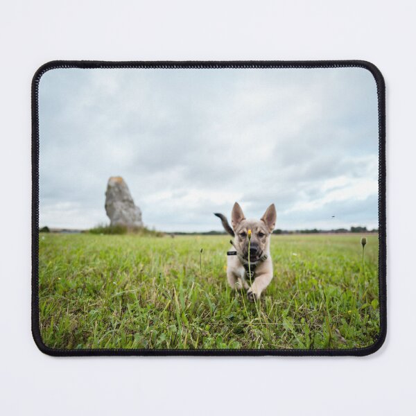 Item preview, Swedish Vallhund Puppy designed and sold by TheVallhundStop.