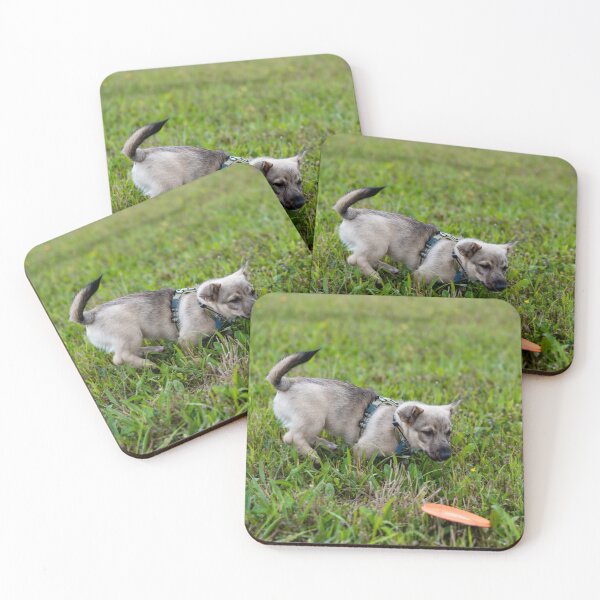 Item preview, Swedish Vallhund Puppy with frisbee designed and sold by TheVallhundStop.