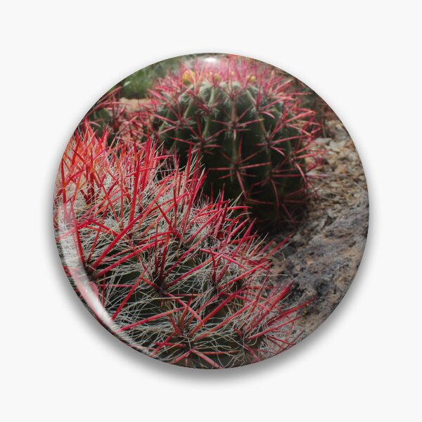 Item preview, Fire Barrel Cactus designed and sold by MonsoonPhoto.
