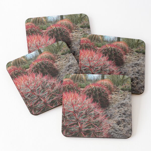 Item preview, Fire Barrel Cactus designed and sold by MonsoonPhoto.
