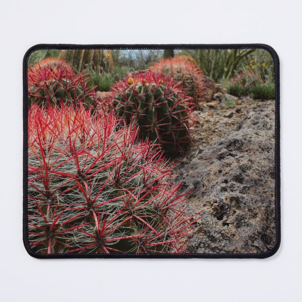 Item preview, Fire Barrel Cactus designed and sold by MonsoonPhoto.
