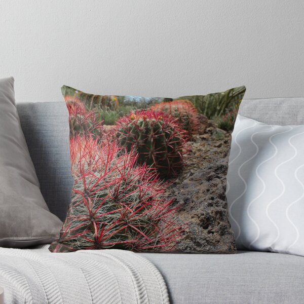 Item preview, Fire Barrel Cactus designed and sold by MonsoonPhoto.