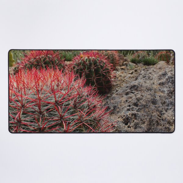 Item preview, Fire Barrel Cactus designed and sold by MonsoonPhoto.